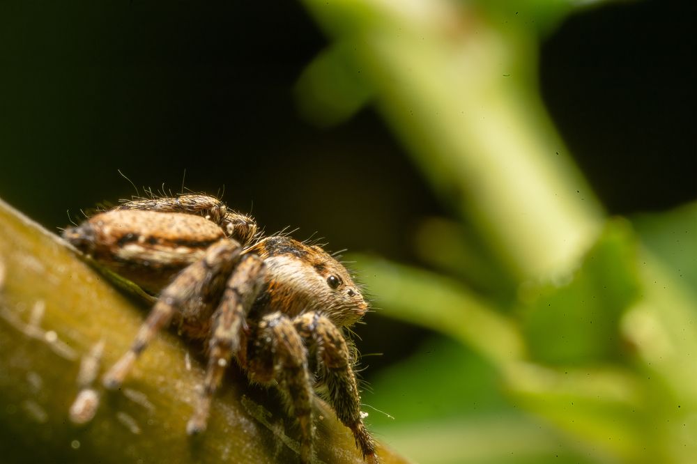 Фотография автора Ruslan Badykov