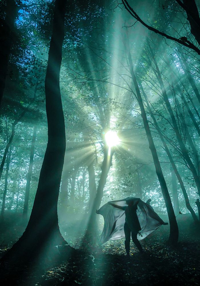 Photograph by Ali Bagheri