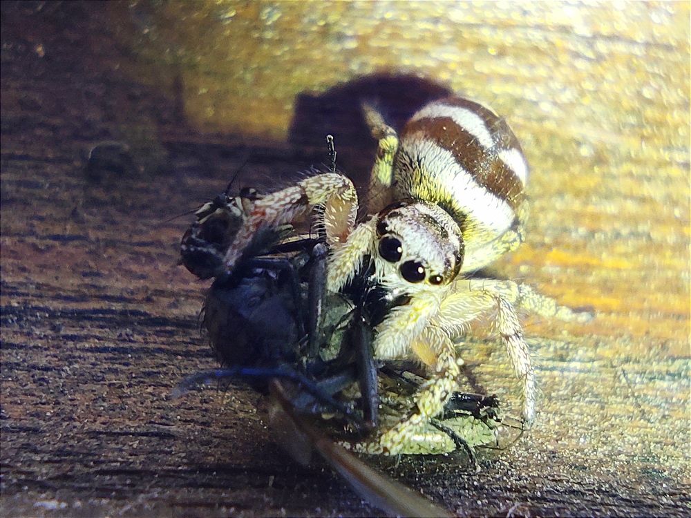 Photograph by Željka Miljić