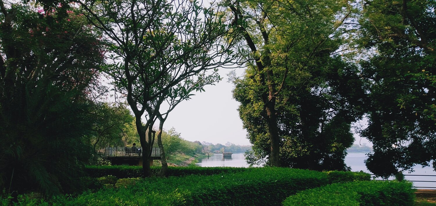 Photo #10569203