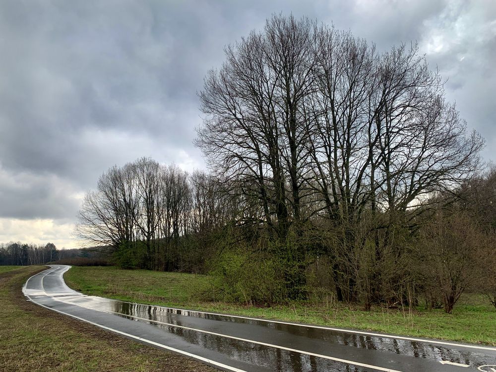 Photograph by Ионова Татьяна