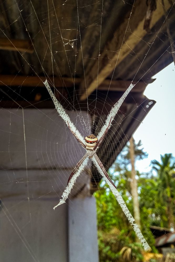 Photograph by DEBRAJ PURKAYASTHA