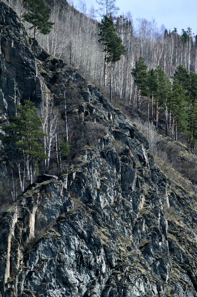 Photograph by Светлана Козлова