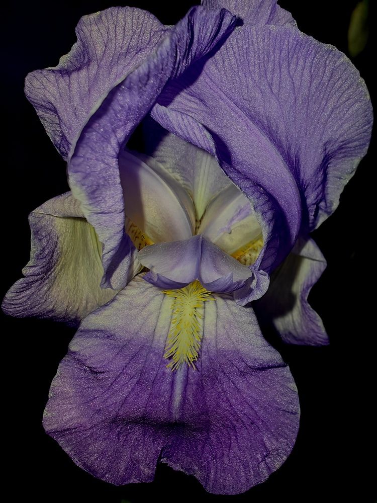 Photograph by Ирина Тихая