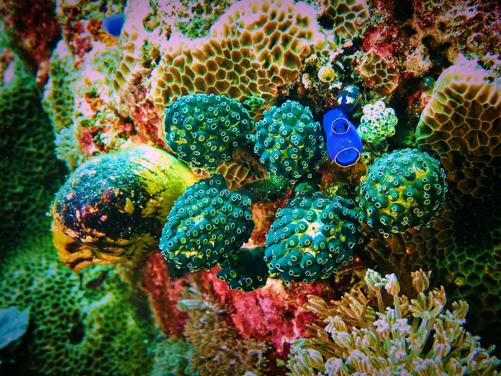 Photograph by Анна