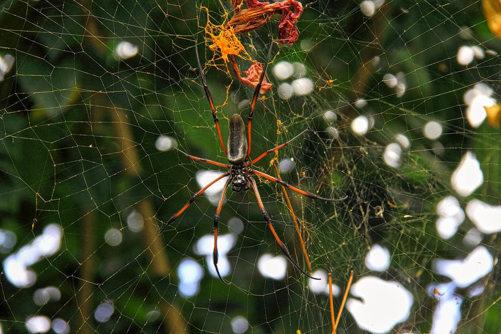 Photograph by Михаил Баевский