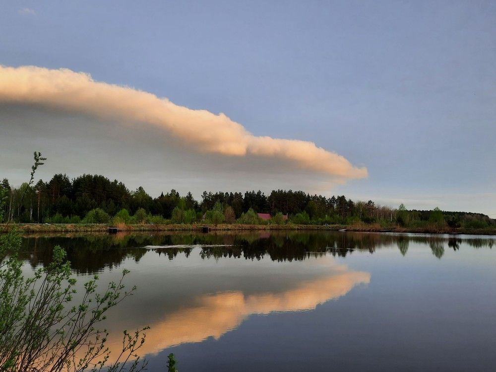 Фотография автора Елена Пикатова