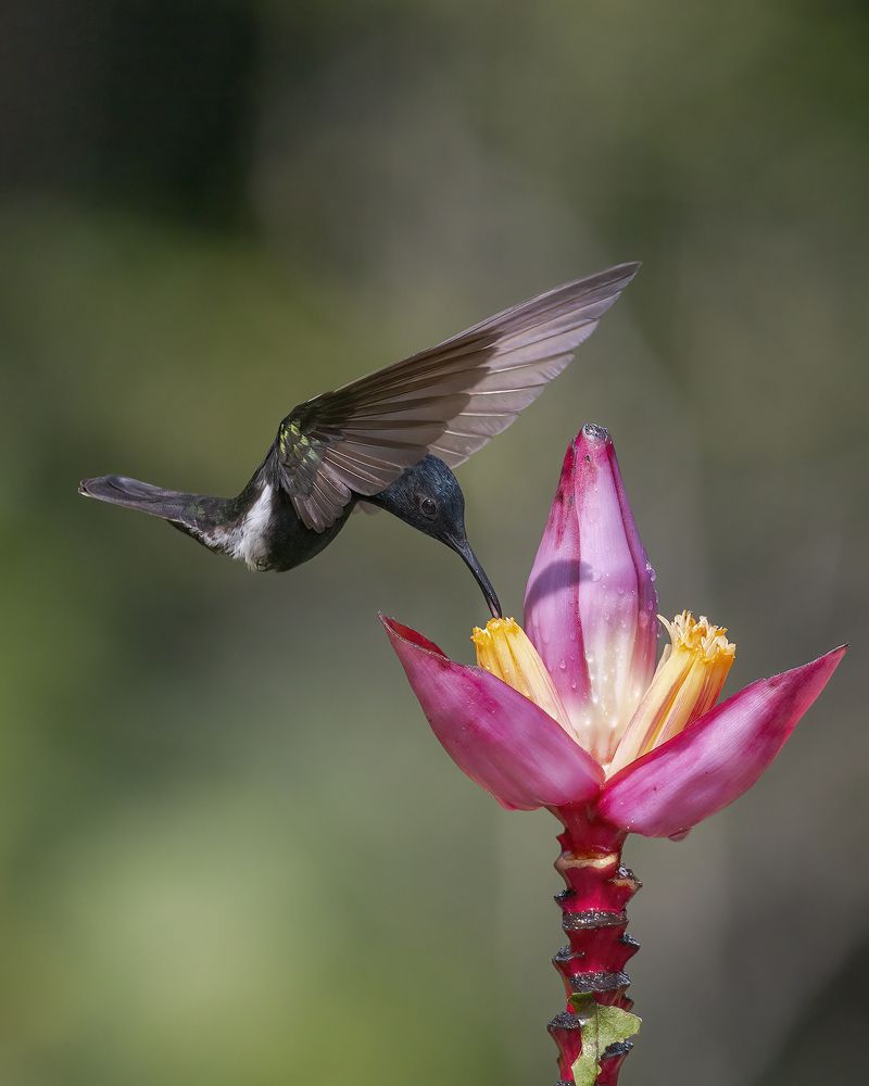 Photograph by JEFFERSON RODRIGUES DE OLIVEIRA E SILVA