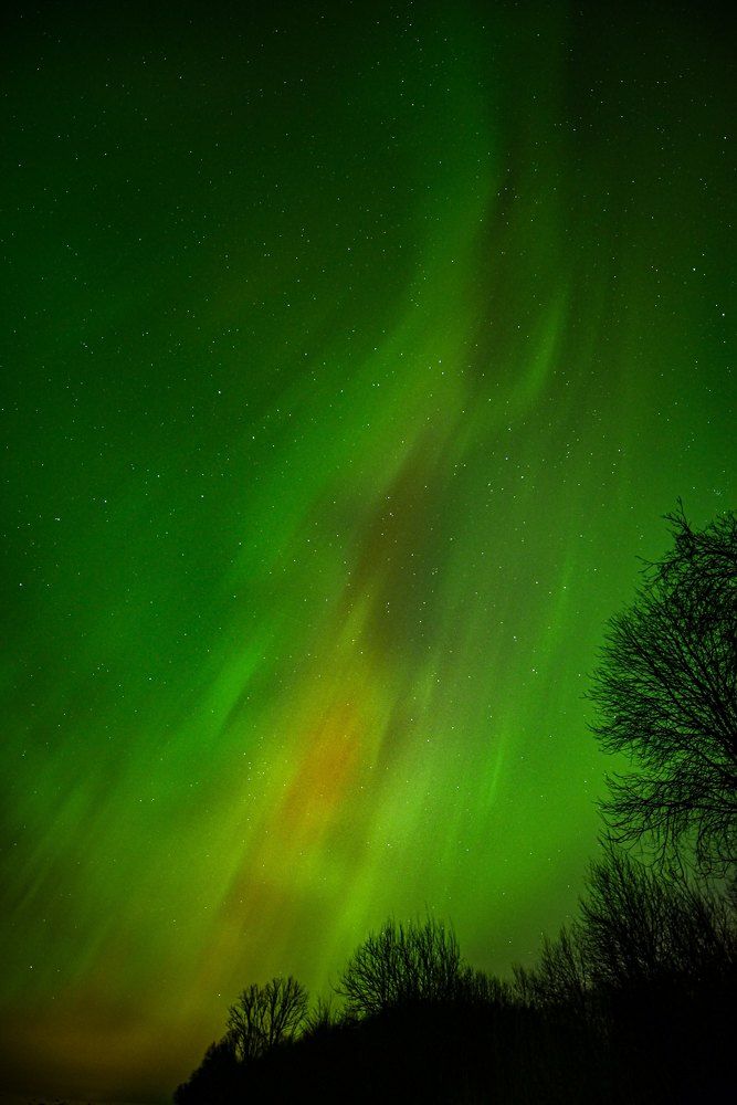 Photograph by Ljudmilla Pavljutsenkova