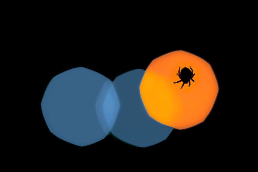 Photograph by ghaniya Almajrafi