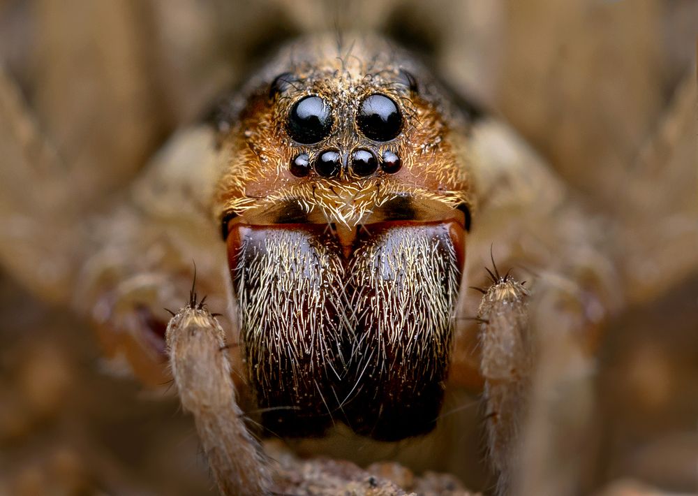 Photograph by ghaniya Almajrafi