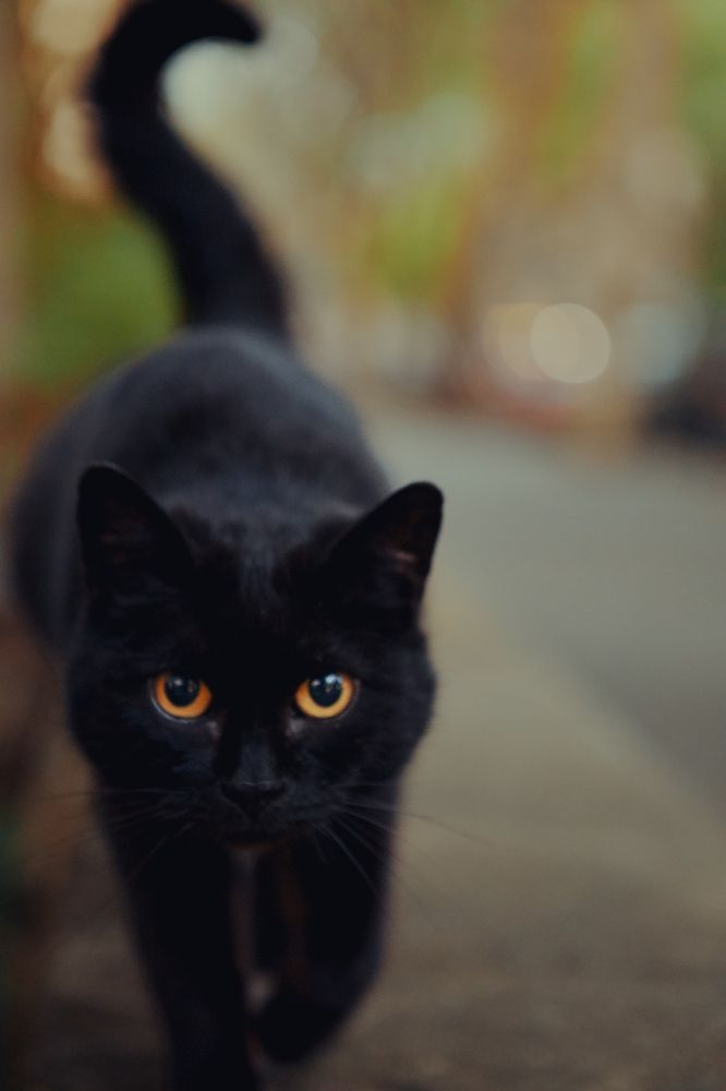 Photograph by Alexander Omelchuk