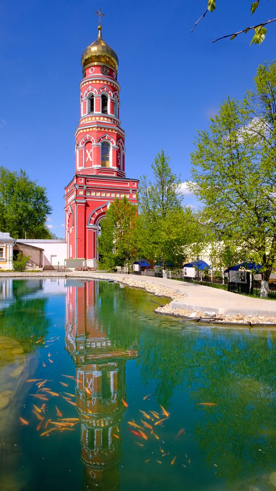 Photograph by Александр Елизаров