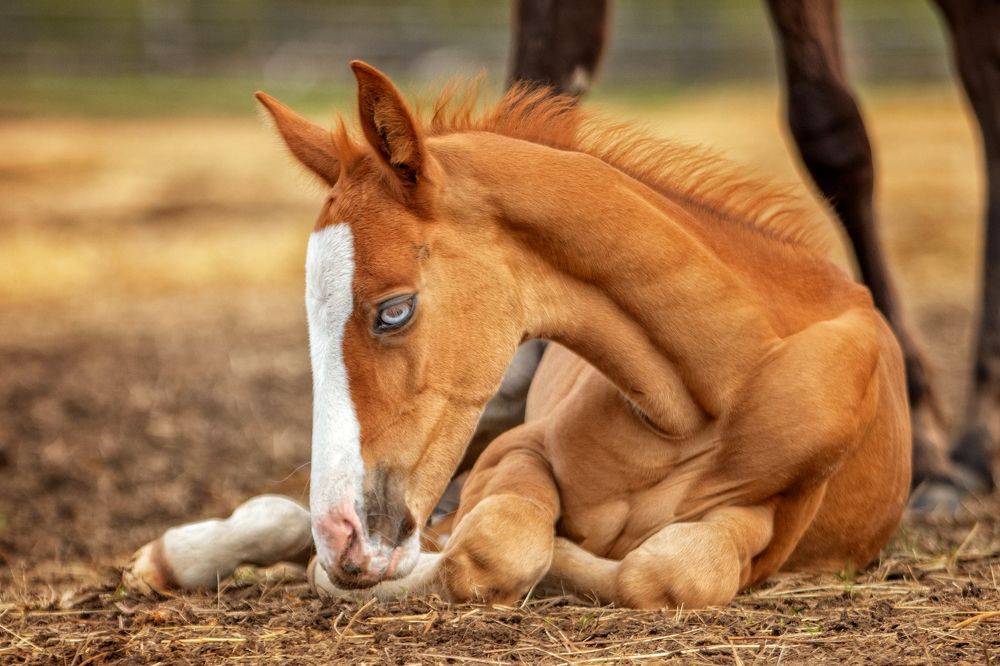 Photograph by Зубкова Юлия