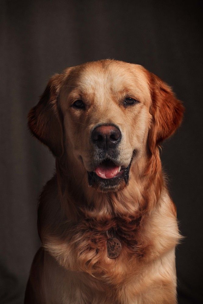 Фотография автора Рыбаков Илья