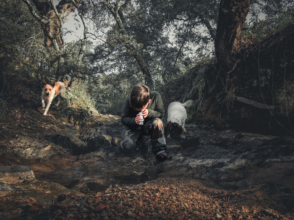 Investigación de fantasía