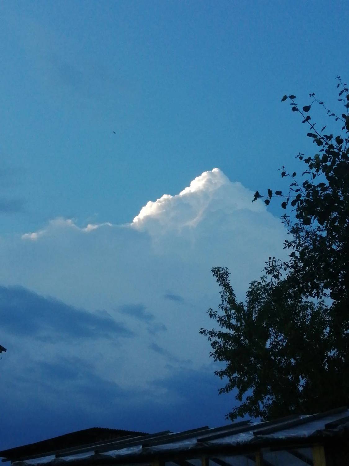 Photo #10569619