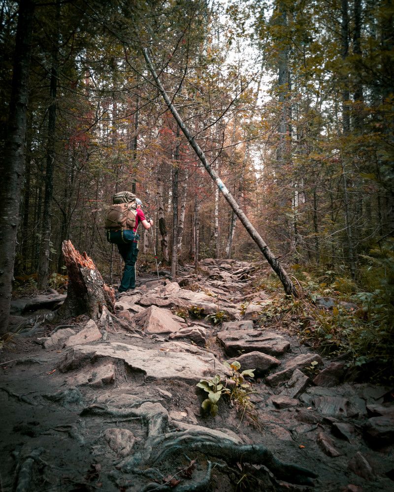 Photograph by Kirill Palchikovskiy