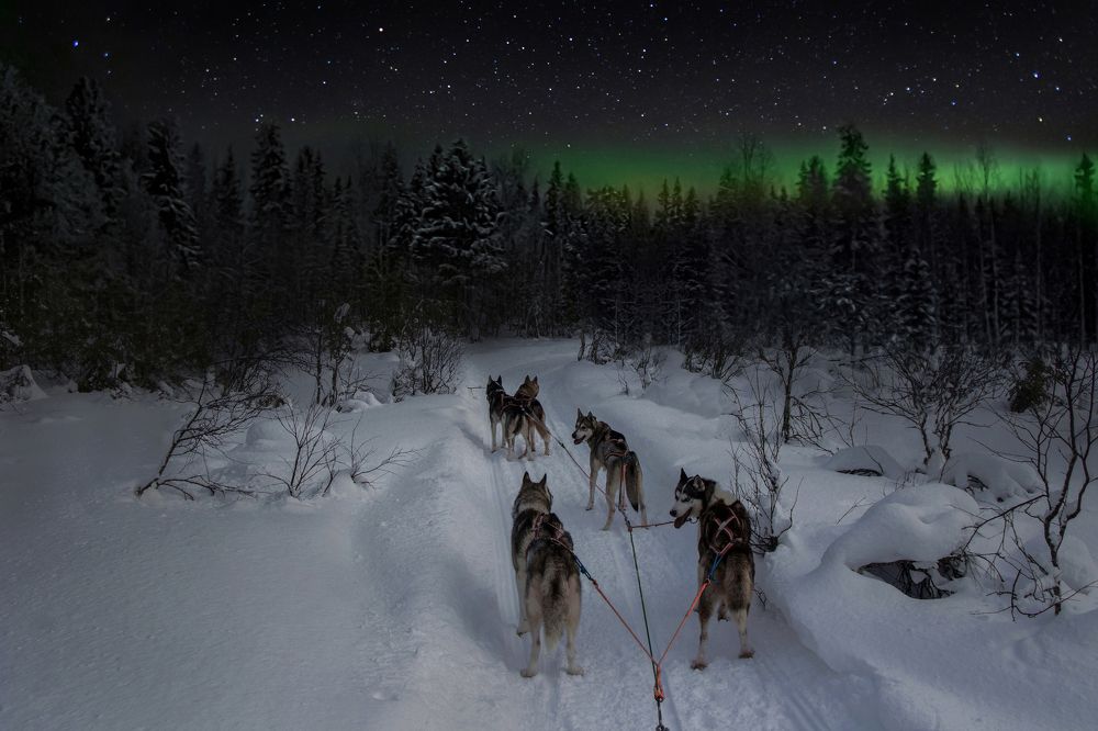 Photograph by Вадим Городницкий