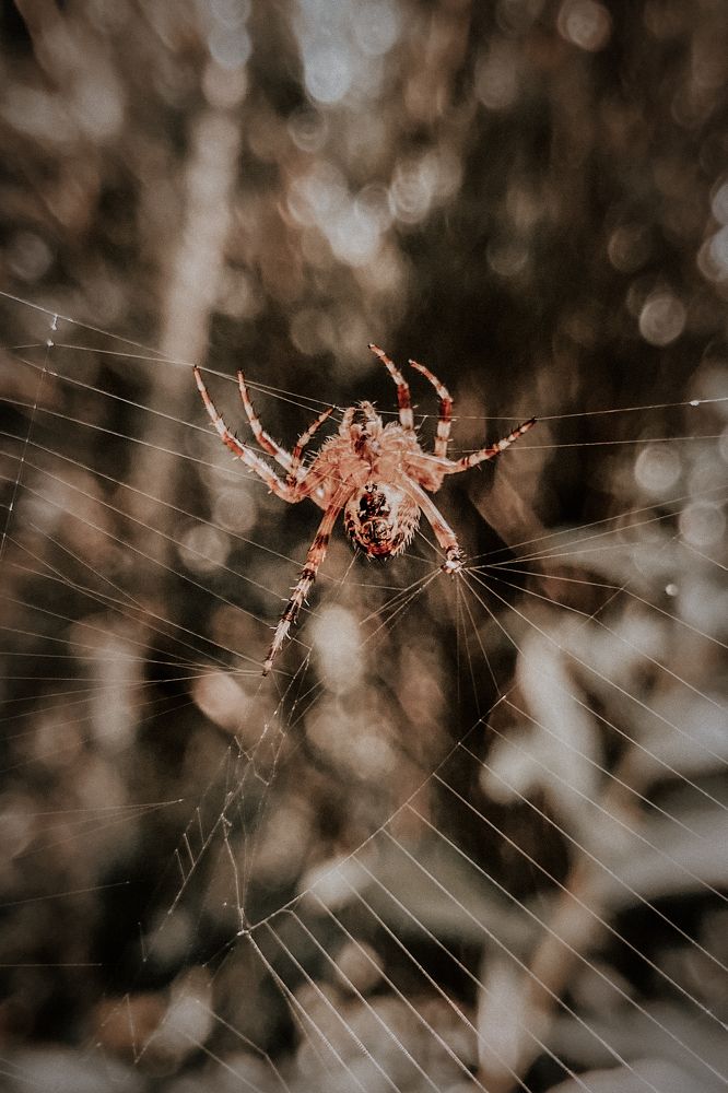 Photograph by Денис Мазычев