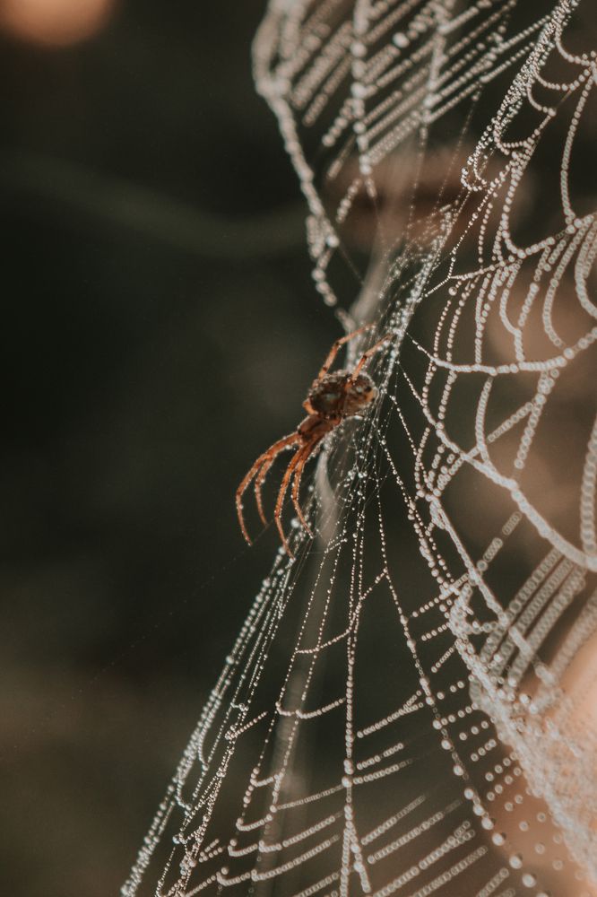 Photograph by Денис Мазычев