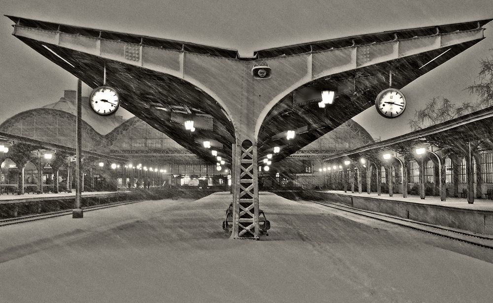 Фотография автора Ольга Виноградова