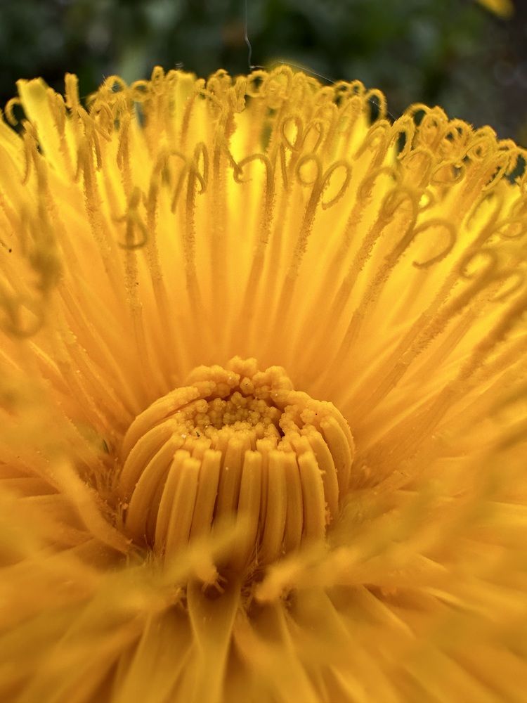 Photograph by Екатерина Балакина