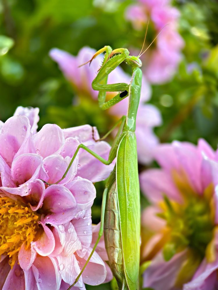 Photograph by Александра Гонтарь