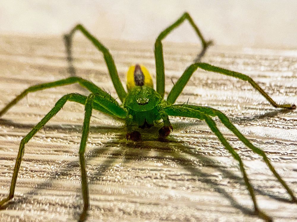 Photograph by Александра Гонтарь