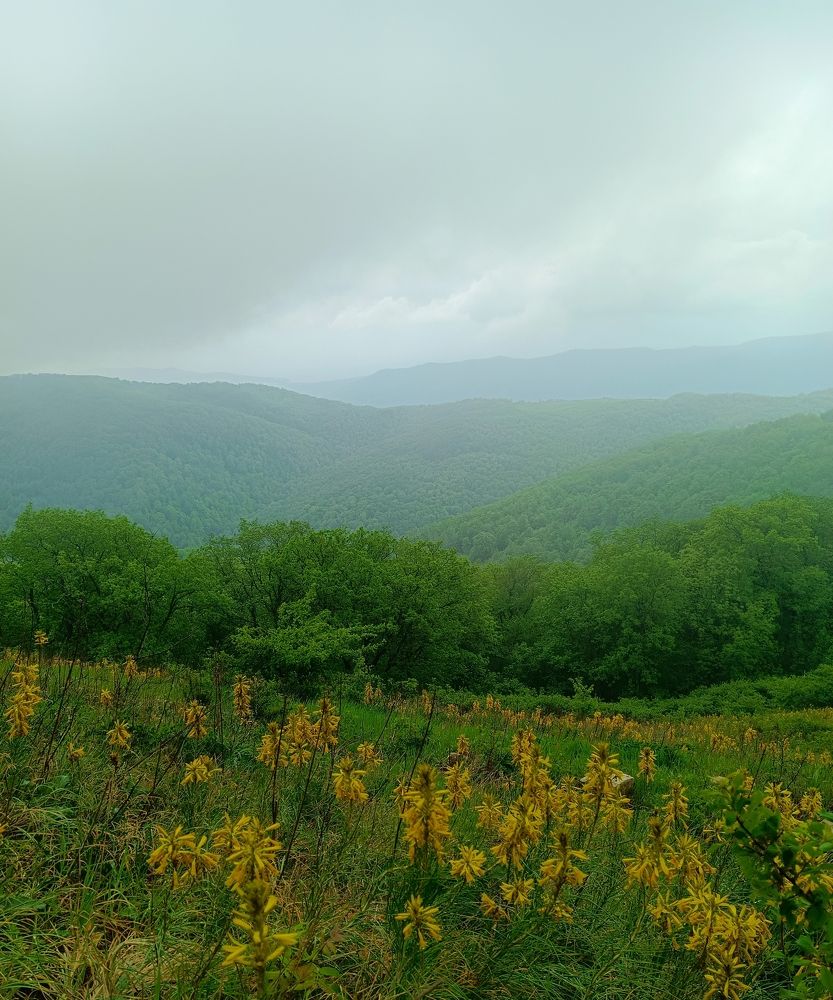 Photograph by Наталья