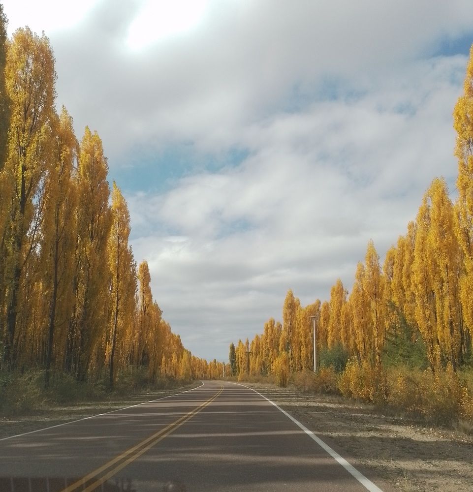 Photo #10569788