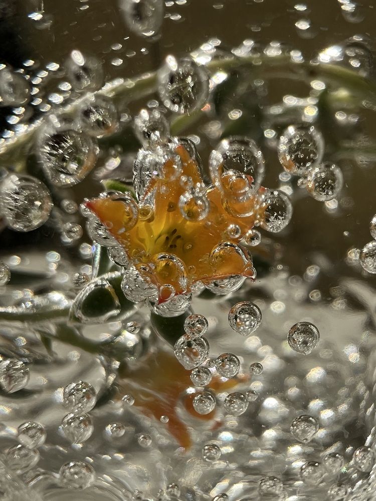 Photograph by Анастасия Германова