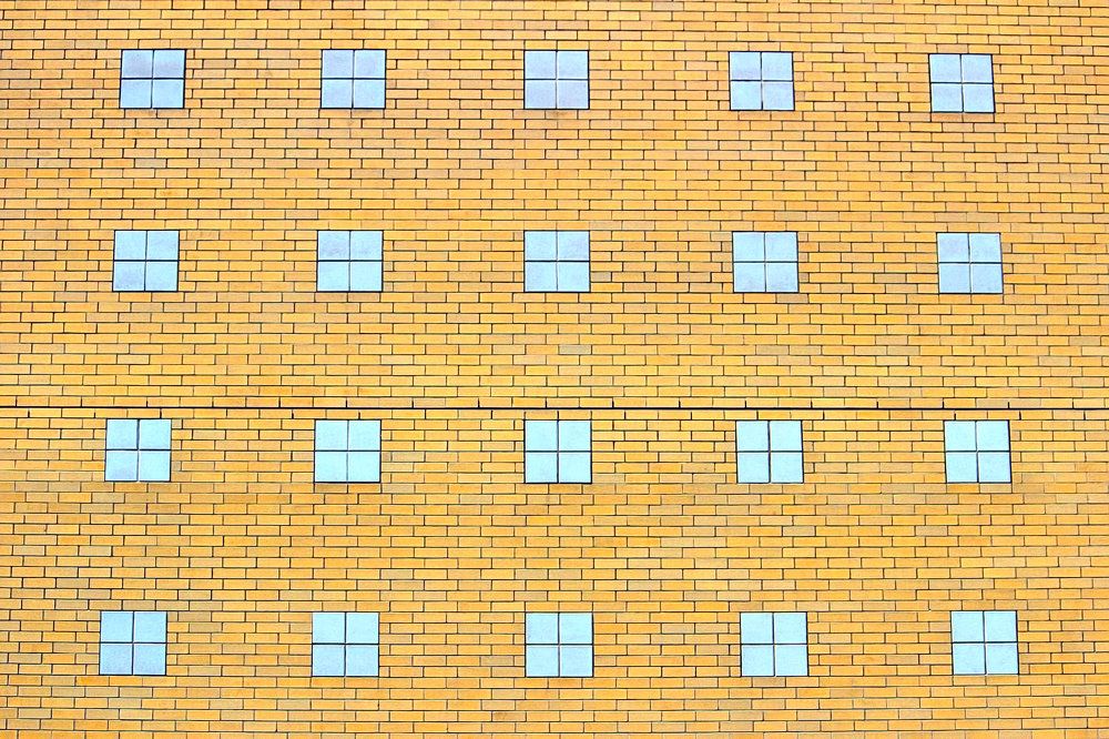 Photograph by A. G. Bisschop