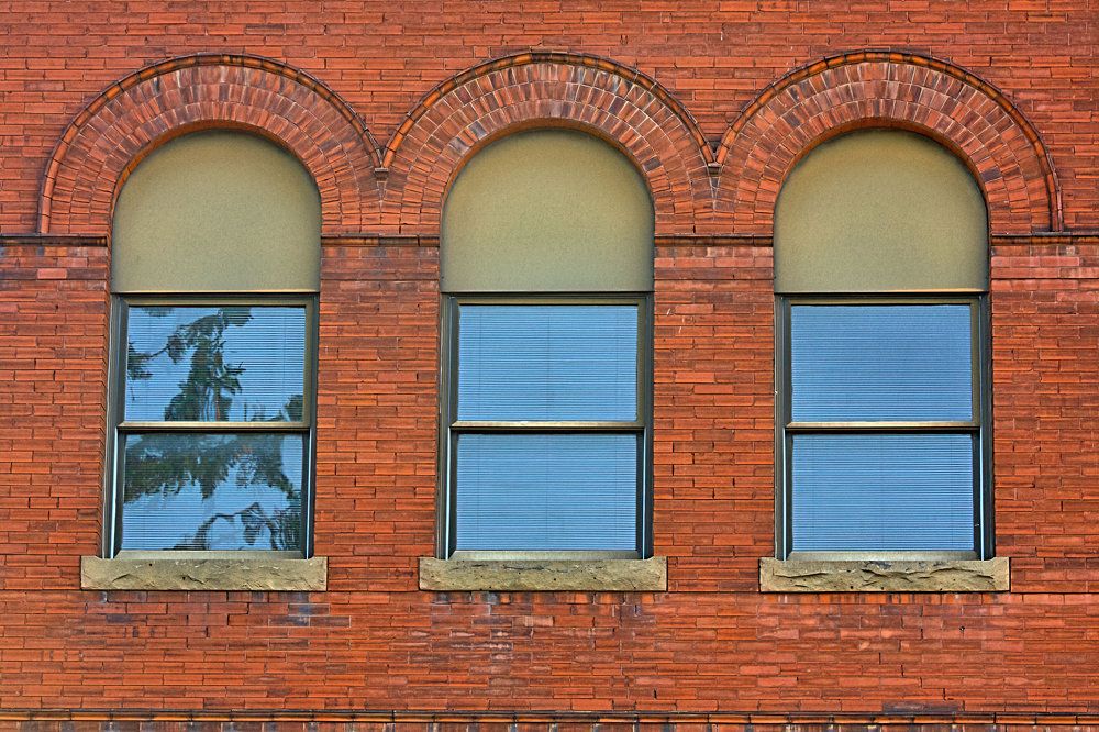 Photograph by A. G. Bisschop