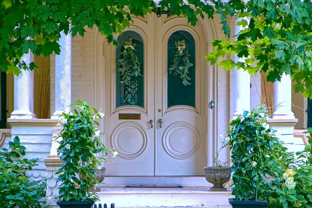 Photograph by A. G. Bisschop