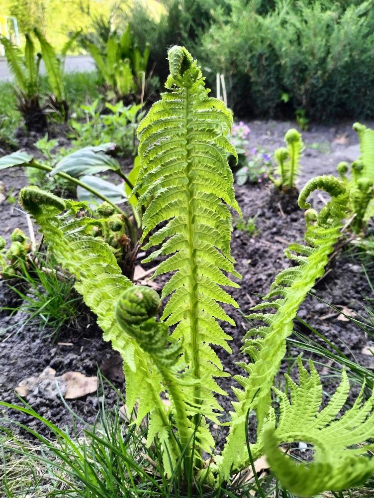 Фотография автора Гвоздецкая Анна