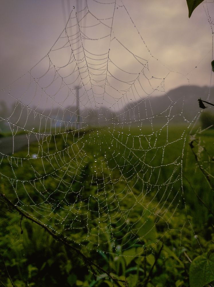 Photograph by Muhammed Junaid A P