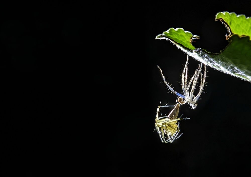 Photograph by Shihas Rasheed