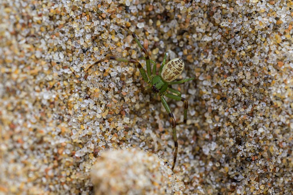 Photograph by Александр Садилов