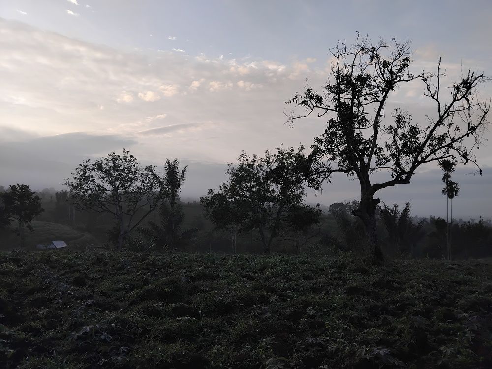Photo #10569984