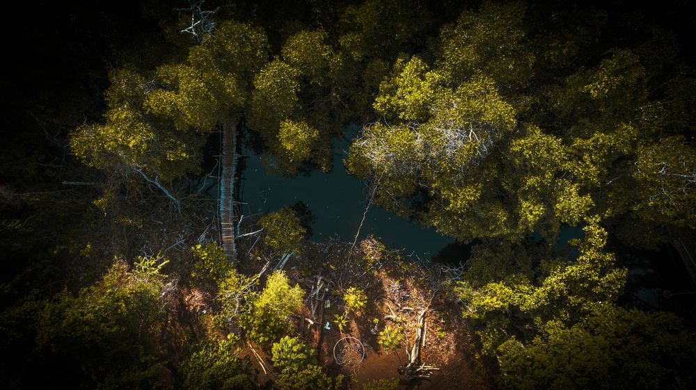 Photograph by Sevedeo Borda III