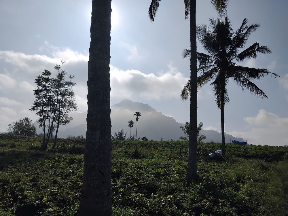 Photo #10569989