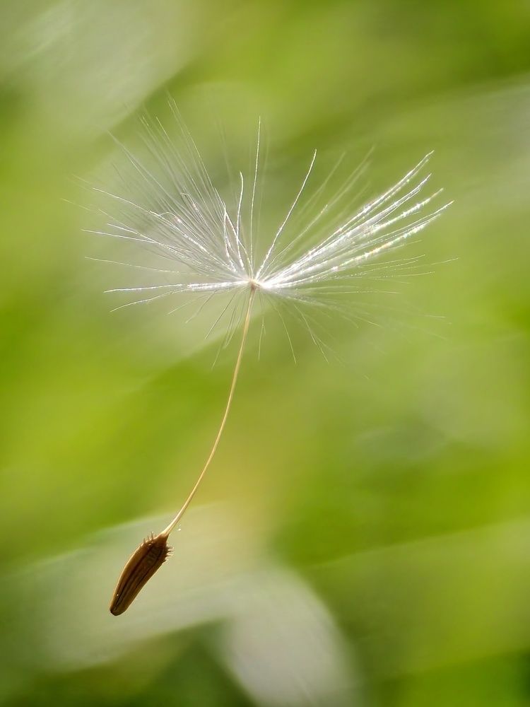 Photograph by Михаил Саидов