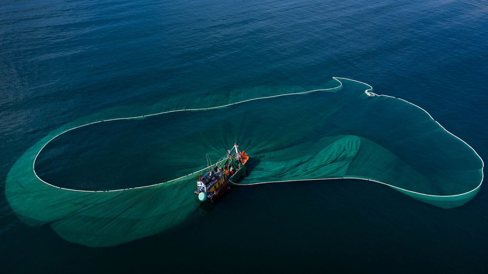 Photograph by Đặng Hiếu Nghĩa