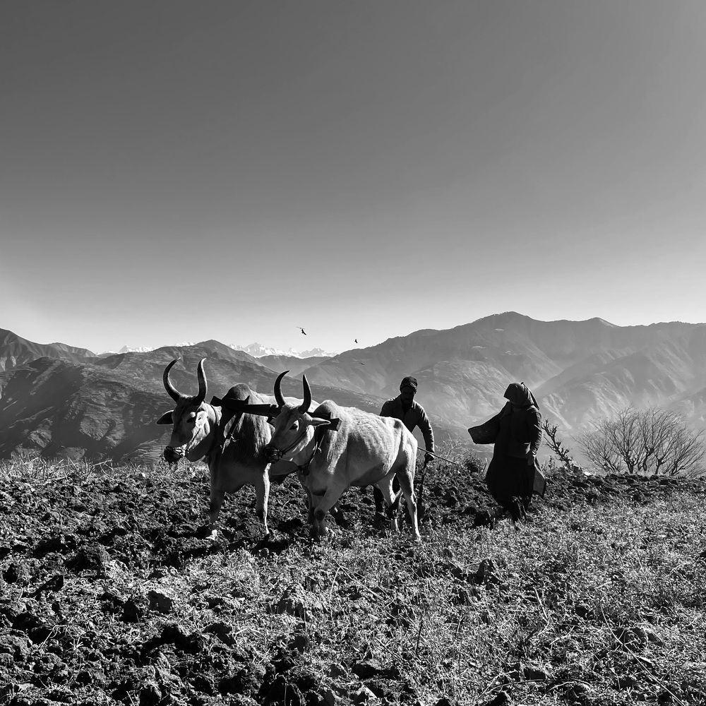 Roots of Uttarakhand
