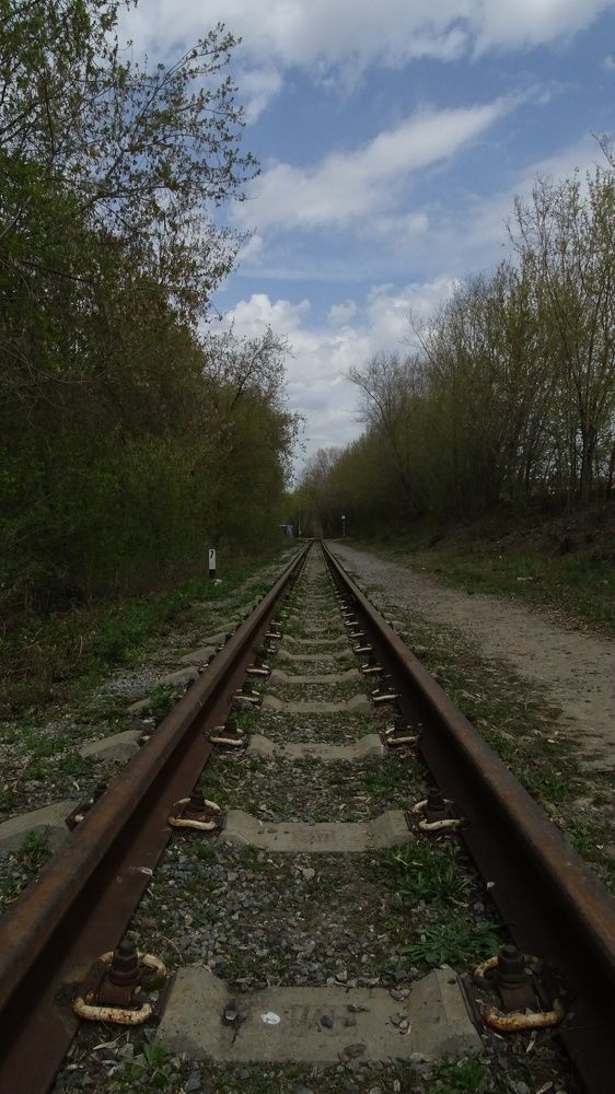 Photograph by Ирина Владимировна