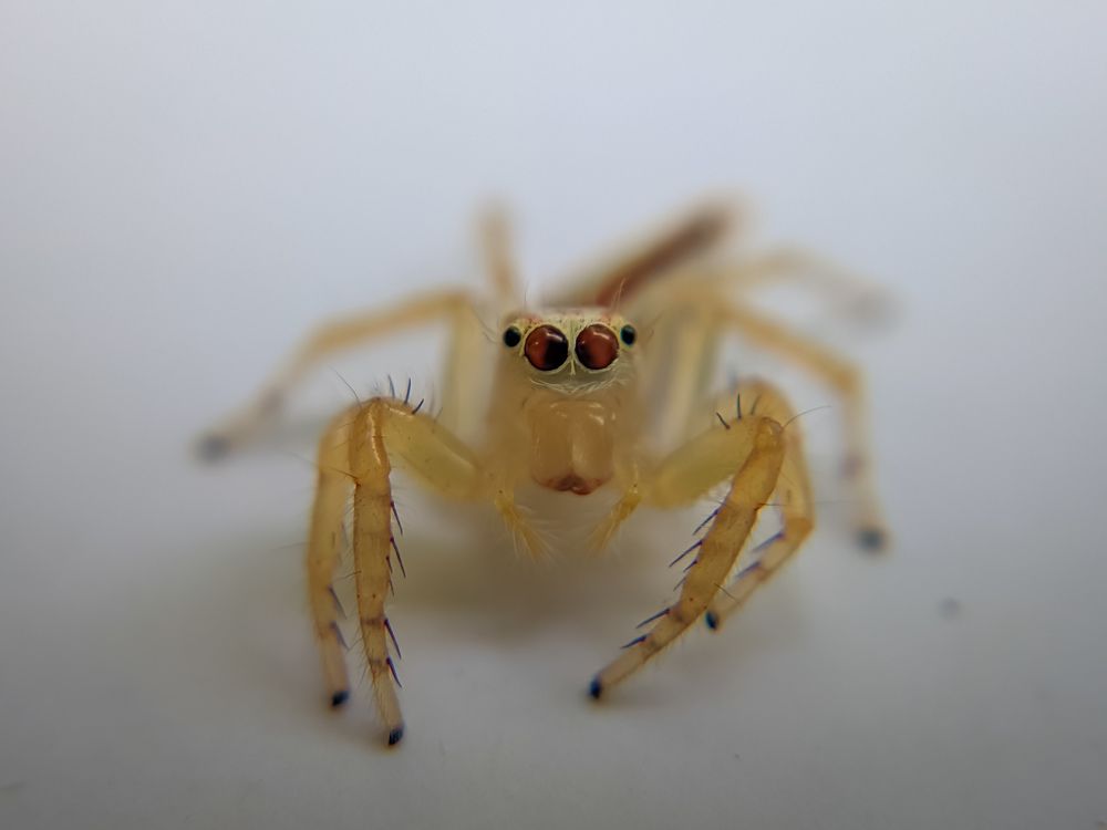 Photograph by Vijayakumar