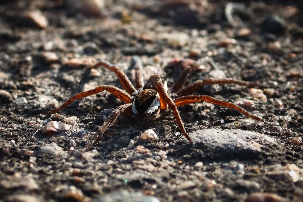 Photograph by Хельга Кольцова