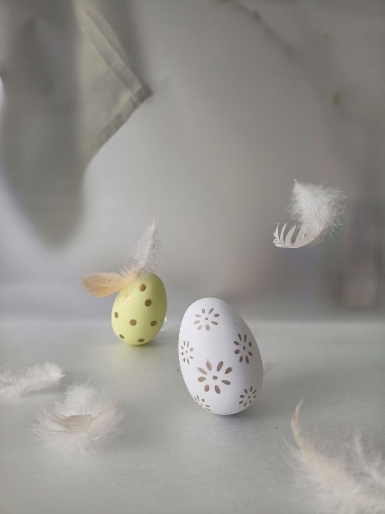 Фотография автора Татьяна Шахова