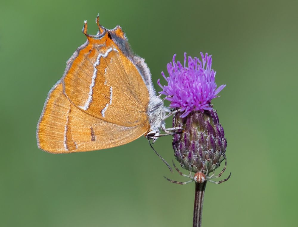 Photograph by Дарья